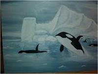 Artic Orcas