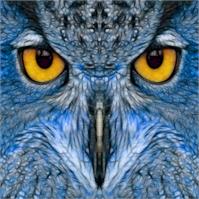 Blue Owl As Calendar