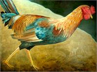 Running Rooster As Framed Poster