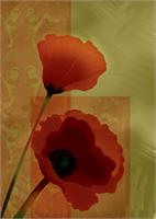 Contemporarie Poppies A Vision In Red As Framed Poster