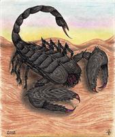 Fury Scorpion