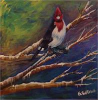 Red-Crested Cardinal