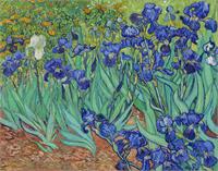 Van Gogh S Irises 1889