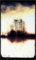 Island Of Trees On Lake As Greeting Card