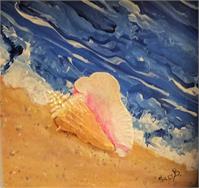 Tybee Island Conch Seashell