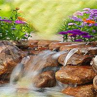 Nature's Paradise