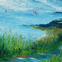 Red Sails In Bantry Bay