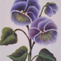 Pansies