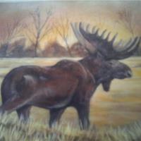 Moose