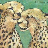 Cheetahs