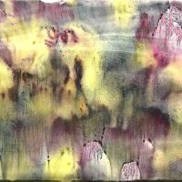 Forgotten Land 164