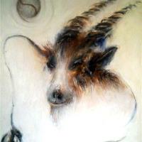 Capricorn ‘ Joca '