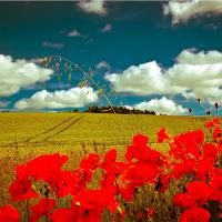 Ireland