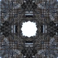Enter VII