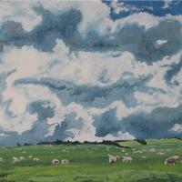 The Sheep On Field