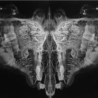 In A Moment Of Grace #4 New Series