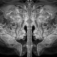 Cosmic Butterfly