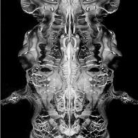 Spirit Guide From Beyond The Veil
