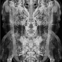Cosmic Circus
