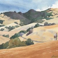 Heather On Mt Diablo