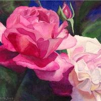 Victoria's Roses