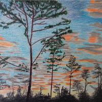 Sunrise At Trout Pond, Florida
