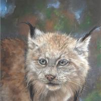 One Canadian Lynx