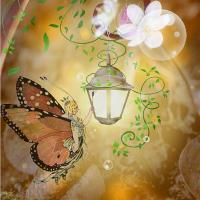 Fairy Lantern Illumination