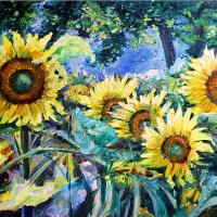 Sunflower