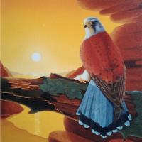 Kestrel
