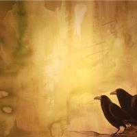 My Lovely Crows