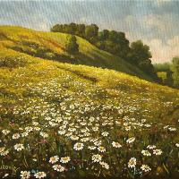 Daisies