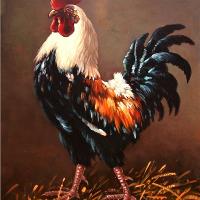 Rooster - The Master Of The Yard