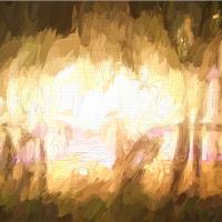 Festival Lights And Fire 3