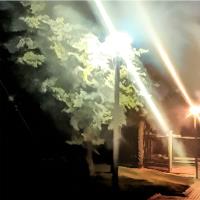 Park In The City At Night