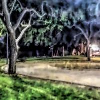 Park In The City At Night