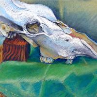 Horse Skull