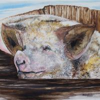 Happiness Is A Mud Puddle