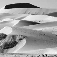 Sand Dune Sculptures