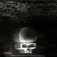 Skulls, Skull, Teschi, Teschio - Fotografia Di Augusto De Luca. 54