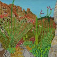 Pima Canyon In Arizona Desert