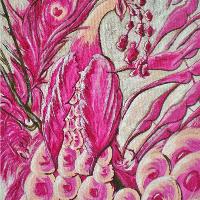 Dreaming Magenta Peacock