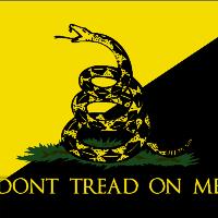 Anarcho Gadsden Flag