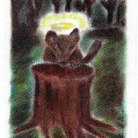 Carta 14 . Armadilha