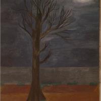 525239_330858220369508_791399490_n