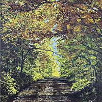 Pathway