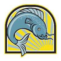 Catfish Jumping Sunburst Cartoon