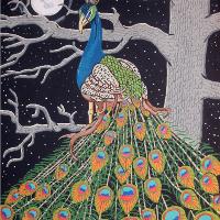 “Midnight Bird“