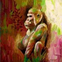 Gorilla