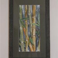 Bamboo